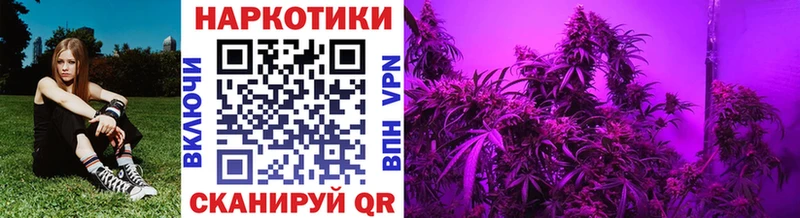 Где купить наркотики Новодвинск КОКАИН  кракен ссылки  ГАШИШ  Меф 