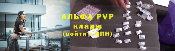 крисы Новокубанск