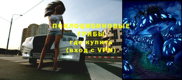 скорость Новозыбков