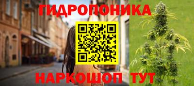 ECSTASY Волжск