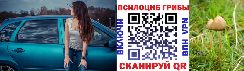 Галлюциногенные грибы Cubensis  blacksprut как зайти  Новодвинск 