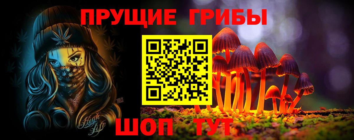 Псилоцибиновые грибы GOLDEN TEACHER  Вход с VPN  Галлюциногенные грибы Magic Shrooms  Новодвинск 