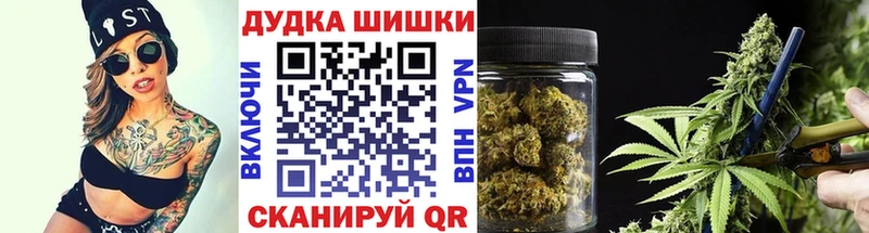 купить   Новодвинск  Каннабис Ganja 
